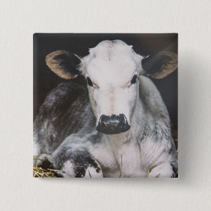 Busy Day Crop Vierkante Button 5,1 Cm