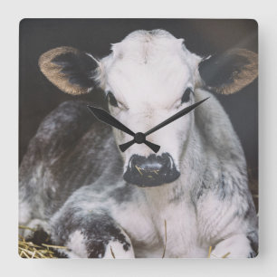 Busy Day Crop Vierkante Klok