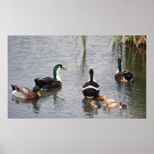 Busy Doin' Nothin' Poster (Voorkant)