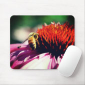 Busy Honey Bee Echinacea Flower Muismat (Met muis)