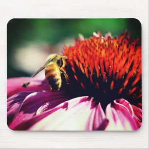 Busy Honey Bee Echinacea Flower Muismat