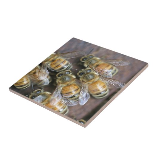 Busy honey bees tegeltje (Zijkant)
