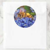 Busy Honeybee op de Californische Lila Ronde Sticker (Tas)