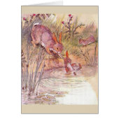  - Busy Moeder Bunny, (Voorkant)