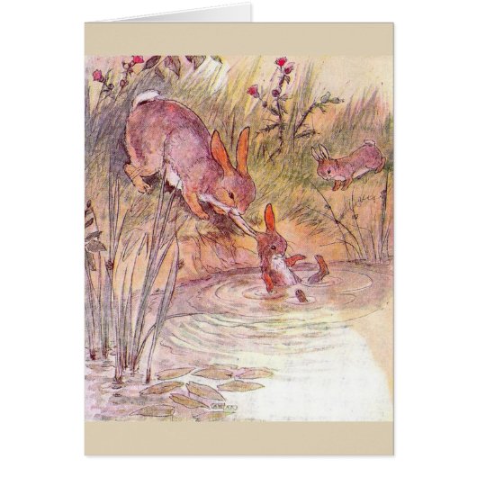  - Busy Moeder Bunny, (Voorkant)