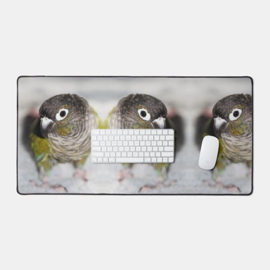 butbel bureaumat (Keyboard & Muis)