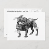  Butch in BW Briefkaart (Voorkant / Achterkant)