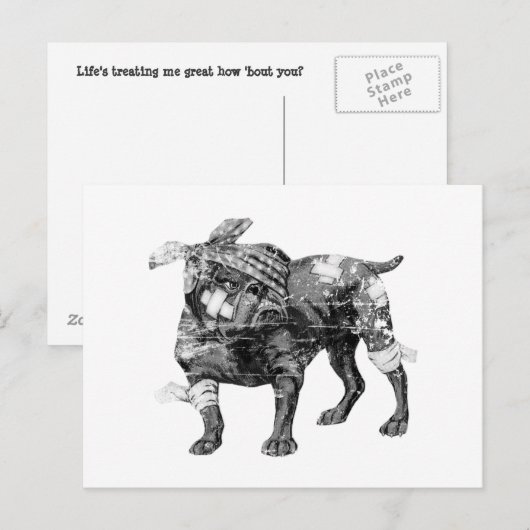  Butch in BW Briefkaart (Voorkant / Achterkant)