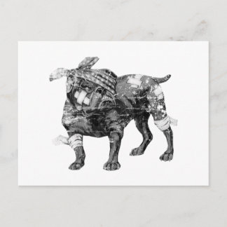  Butch in BW Briefkaart