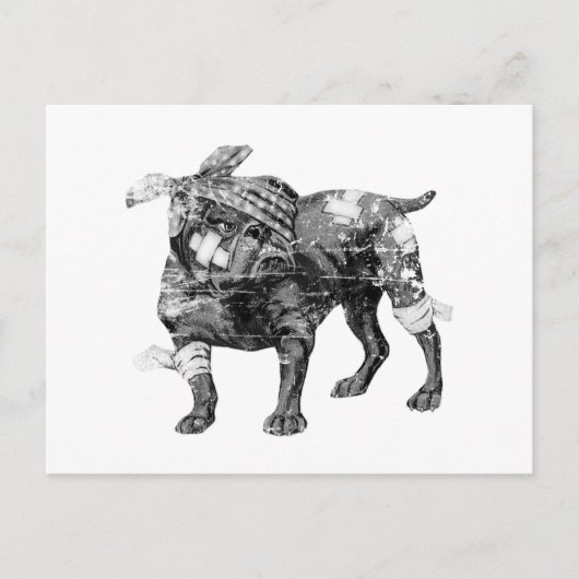  Butch in BW Briefkaart (Voorkant)