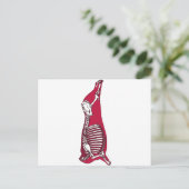 BUTCHER ANATOMY BRIEFKAART (Staand voorkant)