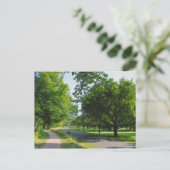 Bute Park, Cardiff, Wales. Briefkaart (Staand voorkant)