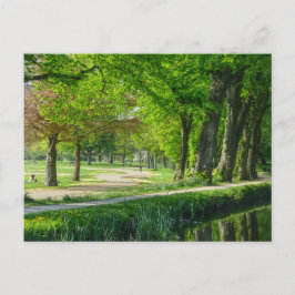 Bute Park, Cardiff, Wales. Briefkaart