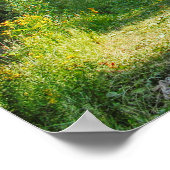 Bute Park, Cardiff, Wales. Poster (Hoek)