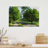 Bute Park, Cardiff, Wales. Poster (Keuken)