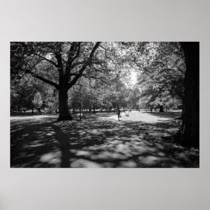 Bute Park op een zomermiddag. Cardiff, Wales Poster