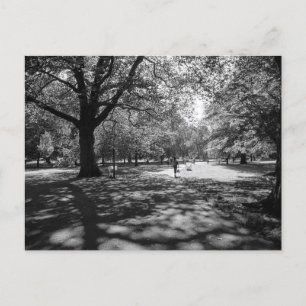 Bute Park op een zomermiddag. De hoofdplaats is Ca Briefkaart