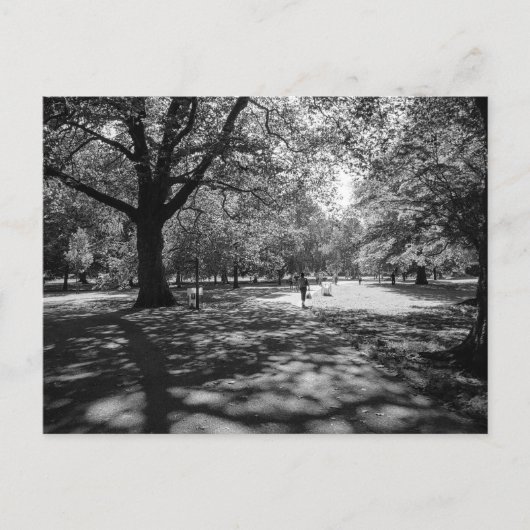 Bute Park op een zomermiddag. De hoofdplaats is Ca Briefkaart (Voorkant)