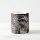 Buteo buteo koffiemok (Center)