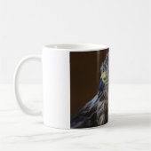 Buteo buteo koffiemok (Links)