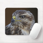 Buteo buteo muismat (Met muis)