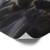 Buteo buteo poster (Hoek)