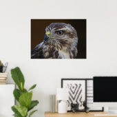 Buteo buteo poster (Thuiskantoor)