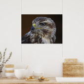 Buteo buteo poster (Keuken)