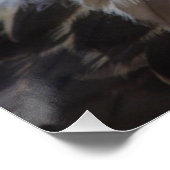 Buteo buteo poster (Hoek)