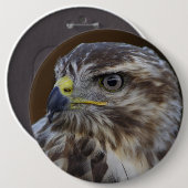 Buteo buteo ronde button 6,0 cm (Voorkant /achterkant)