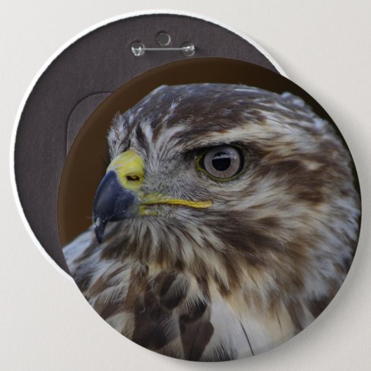 Buteo buteo ronde button 6,0 cm (Voorkant /achterkant)