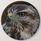 Buteo buteo ronde button 6,0 cm (Voorkant)