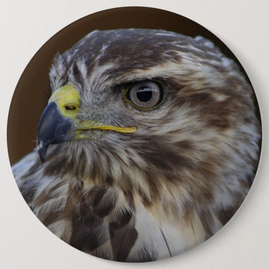Buteo buteo ronde button 6,0 cm (Voorkant)