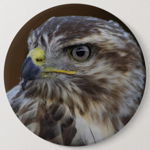 Buteo buteo ronde button 6,0 cm
