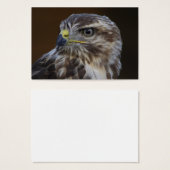 Buteo buteo visitekaartje (Voorkant /achterkant)