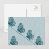 Buterflies Briefkaart (Voorkant / Achterkant)