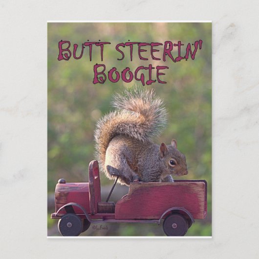 BUTT STEERIN' BOOGIE BRIEFKAART (Voorkant)