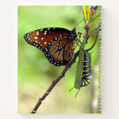 Butteffly / Caterpillar Quote Inspirerend spiraal Notitieboek (Achterkant)