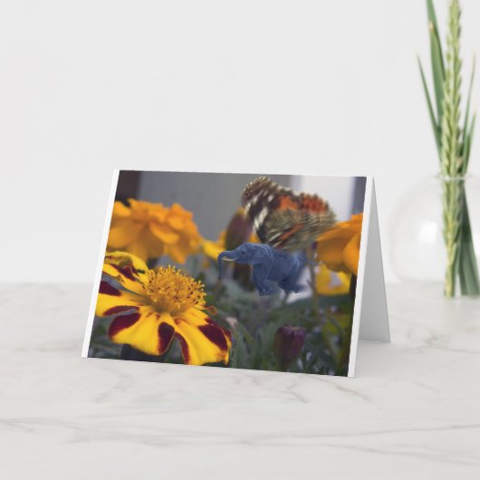 Buttephant Kaart (Voorkant)