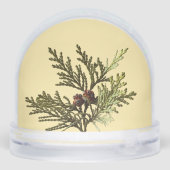 Butter Yellow Fern Photo  Sneeuwbol (Achterkant)