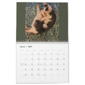 Butterball Kitten: 2024 Kalender (Mar 2027)