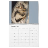 Butterball Kitten: 2024 Kalender (Jan 2027)