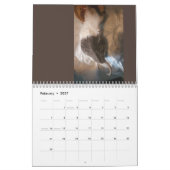 Butterball Kitten: 2024 Kalender (Feb 2027)