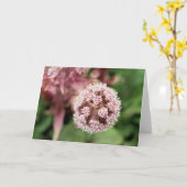 Butterbur Kaart (Gele Bloem)