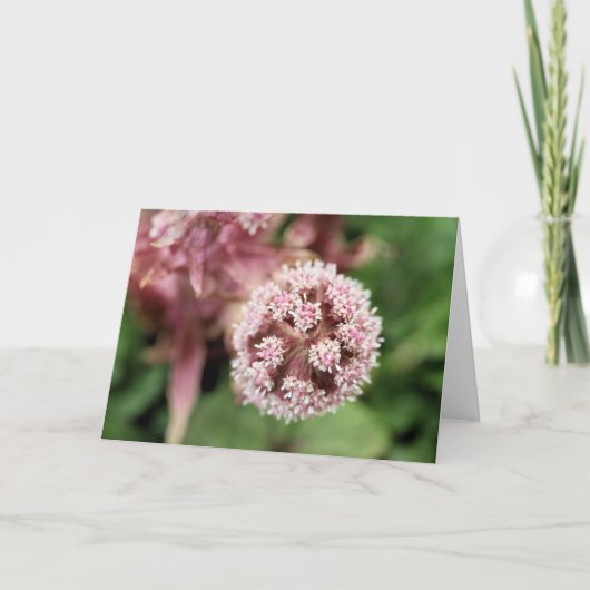 Butterbur Kaart (Voorkant)