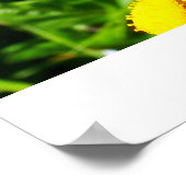 Buttercheeta poster (Hoek)