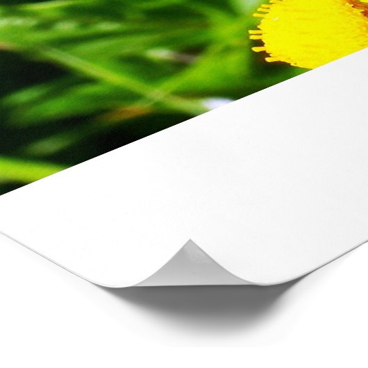 Buttercheeta poster (Hoek)