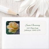 Buttercream Roos Adreslabel Etiket (Insitu)