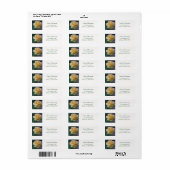 Buttercream Roos Adreslabel Etiket (Full Sheet)