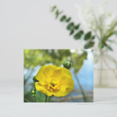 Buttercup bij de Pond Briefkaart (Staand voorkant)